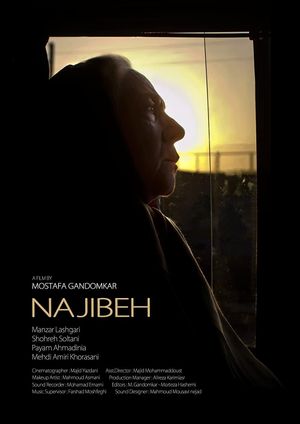 Najibeh's poster