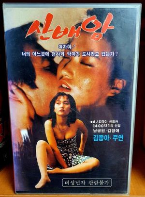 Sanbaeam's poster