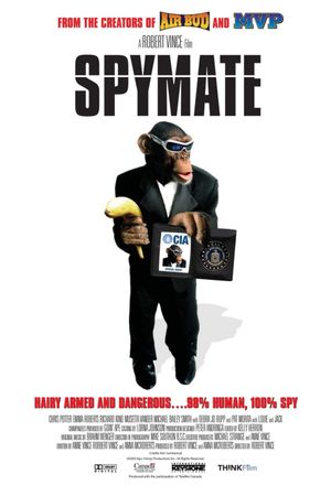 Spymate's poster