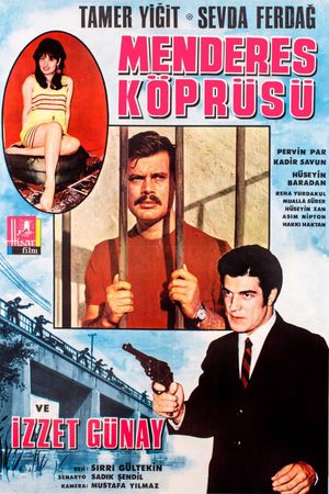 Menderes köprüsü's poster