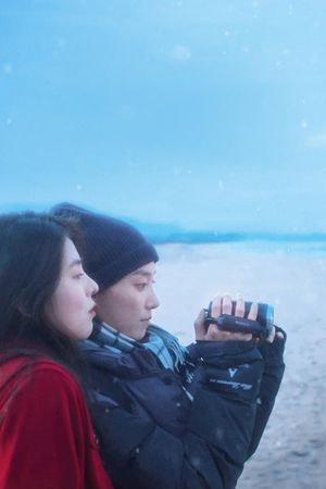 Heavy Snow's poster