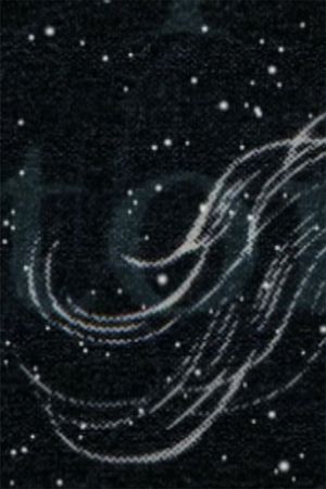 Riderless's poster