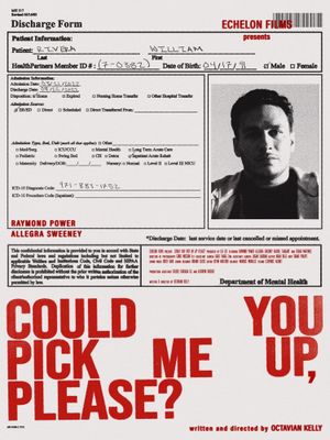 Could You Pick Me Up, Please?'s poster image