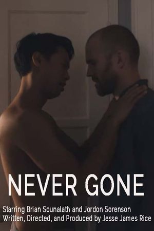 Never Gone's poster image