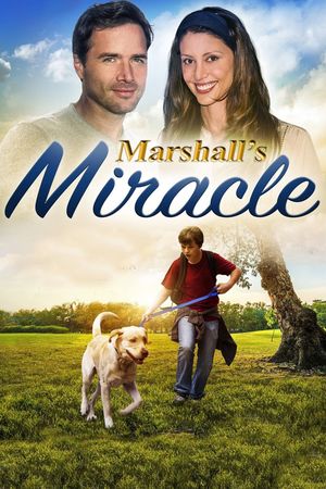 Marshall's Miracle's poster
