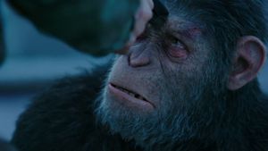 War for the Planet of the Apes's poster