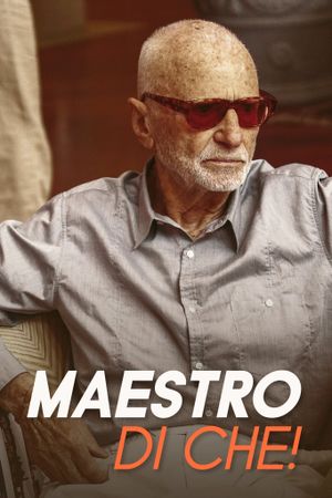 Maestro di che!'s poster